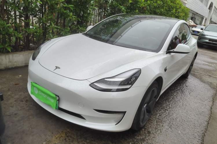 Used Tesla Model 3 2019 Long-Range All-Wheel-Drive Version