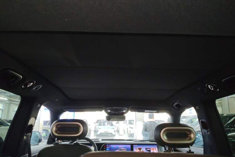 Used smart #5 2024 Jungle Realm Limited Edition