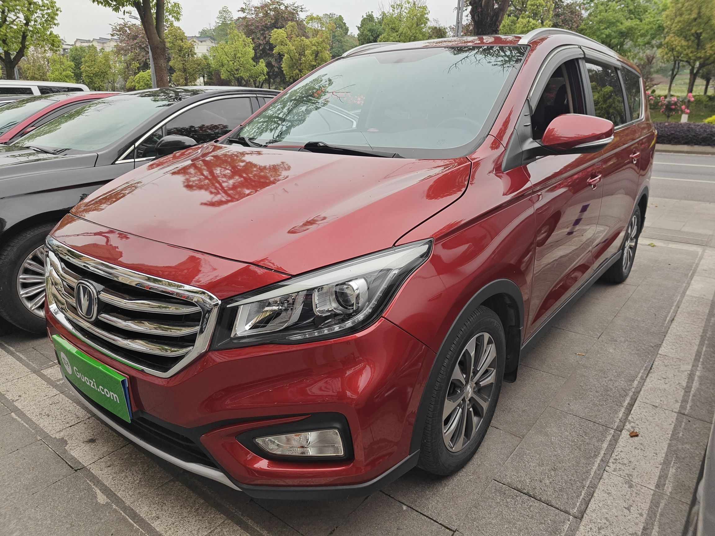 Parte inferior delantera