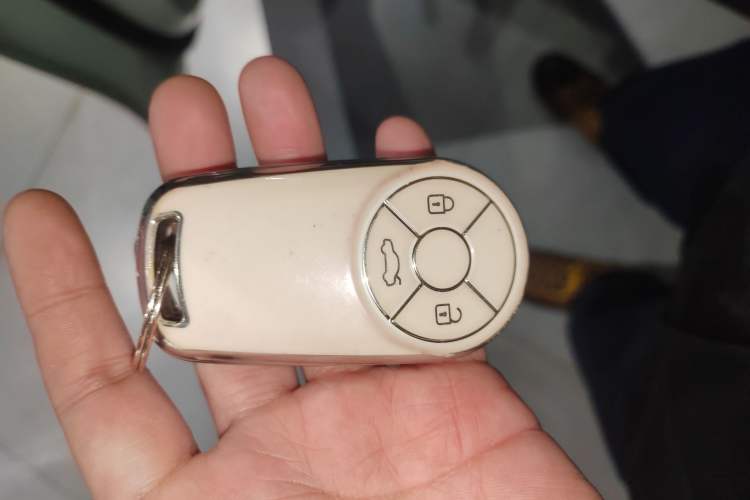 Used ORA Good Cat 2023 401 km Standard Range Luxury Version Lithium Iron Phosphate