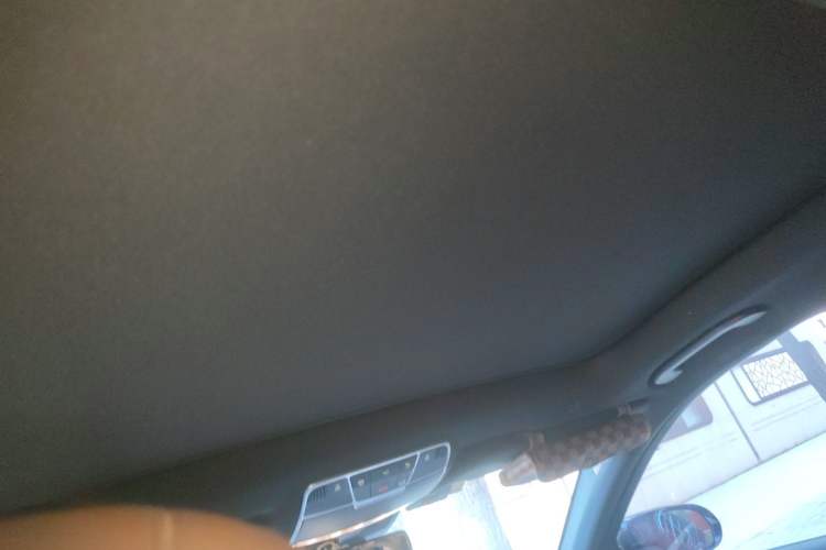 Used Mercedes-Benz S-Class 2020 S 350 L Business Class Ultimate Edition Headliner