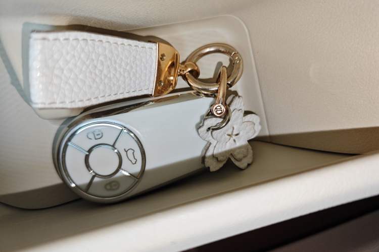 Used ORA Good Cat 2024 401 km Luxury Version Vehicle Key