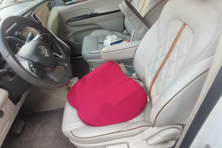 Used Buick GL8 2017 ES 28T Comfort Model China V Standard