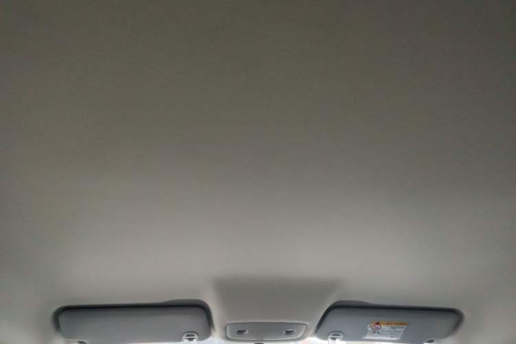 Used Leapmotor T03 2024 310 Comfort Edition Headliner