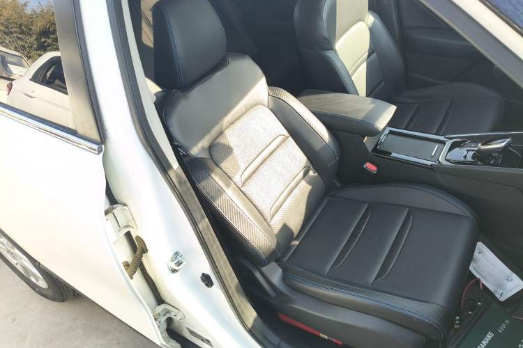 Used Venucia T60EV 2020 AI Enjoyment Model