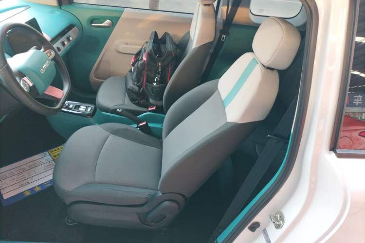 Used Qiyuan Lumin 2022 210km Sweet Edition