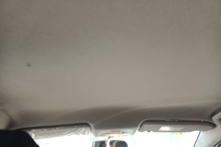 Used Chery Arrizo 5 2019 1.5L Manual Youth Edition China V Standard Headliner