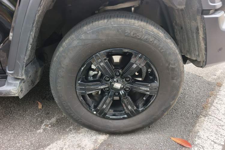 Used Tank 300 2025 2.0T Conqueror
