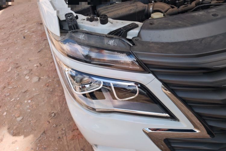 Used FORTHING Lingzhi 2023 M5 1.6L Practical Model 5 Seats