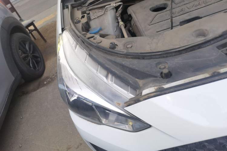 Used Haval M6 2019 1.5T DCT Two-Wheel Drive Value Edition China VI Standard Right Front Headlight