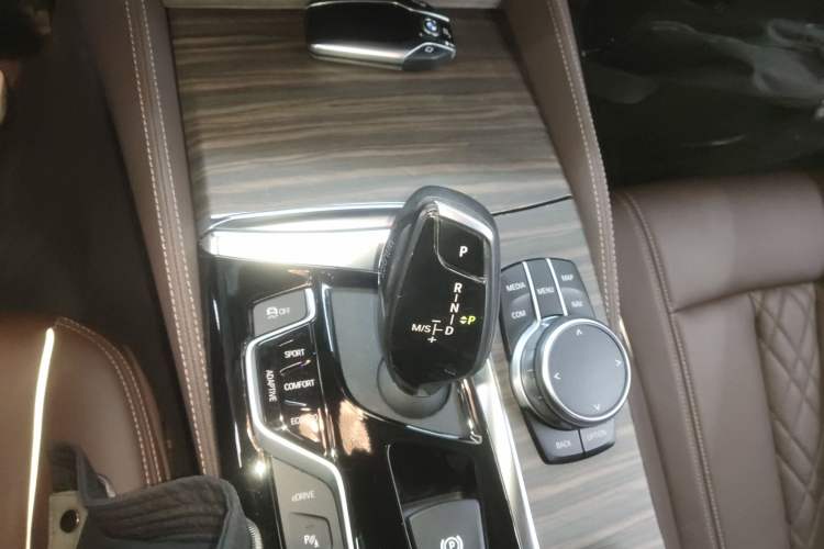 Used BMW 5 Series New Energy 2019 530Le Luxury Package