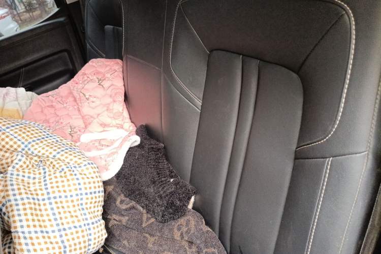 Used JMC DaDao 2023 All-Purpose 2.3T Diesel Manual Two-Wheel Drive Standard-Wheelbase Comfort Edition