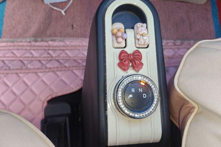 Used Wuling Hongguang MINIEV 2020 Enjoyment Model Lithium Iron Phosphate Gear Lever