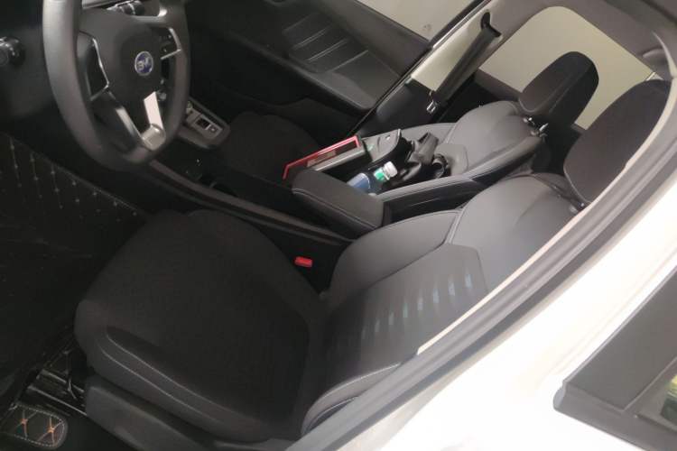 Used BYD e2 2021 Standard Model Left Front Seat