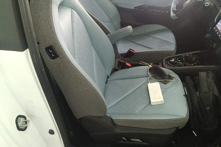 Used Chery QQ Little Ant 2024 251km True Love Edition
