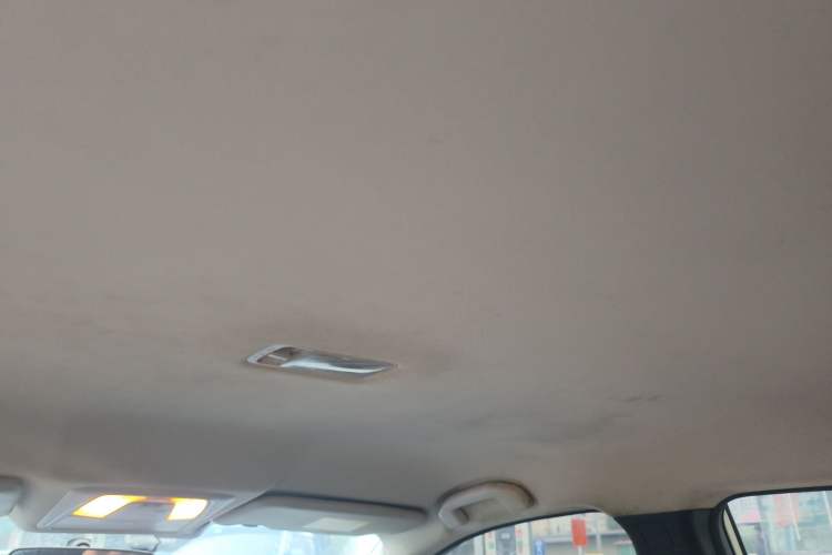Used Venucia D60EV 2022 Standard Range Comfort Edition Headliner