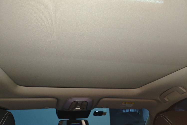 Used Venucia Star 2021 260T Automatic 48V Mild Hybrid Turbocharged Star Achieve Edition Headliner