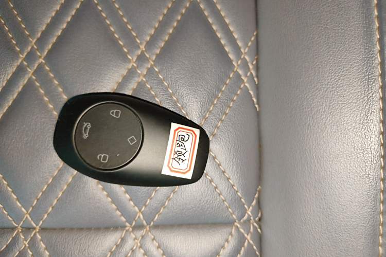 Used Leapmotor T03 2021 400 Comfort Edition