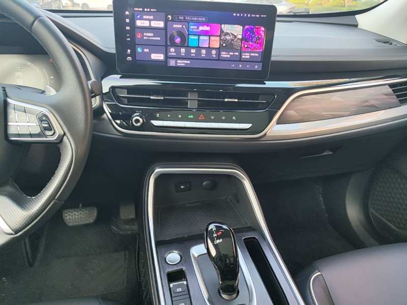 Used Haval H6 2023 National Trend Edition 1.5T Automatic Champion Version — 12
