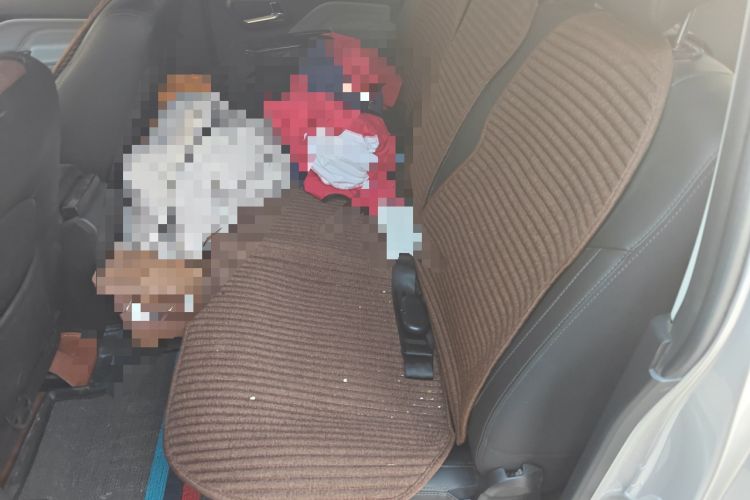 Used Great Wall Wingle 5 2023 2.0T Diesel Two-Wheel Drive Elite Plus