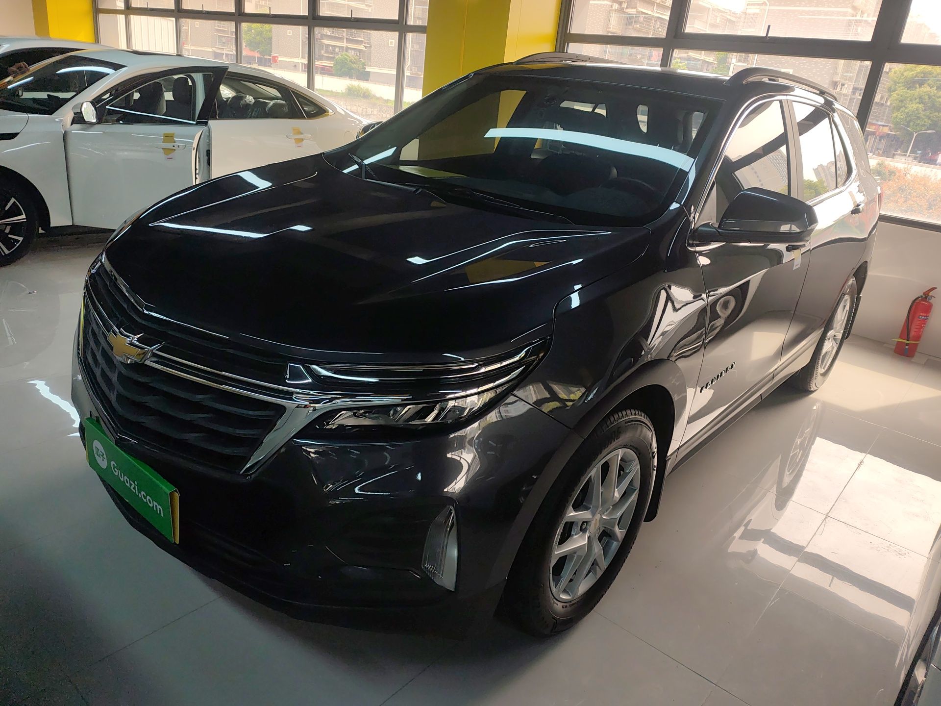 Parte inferior delantera