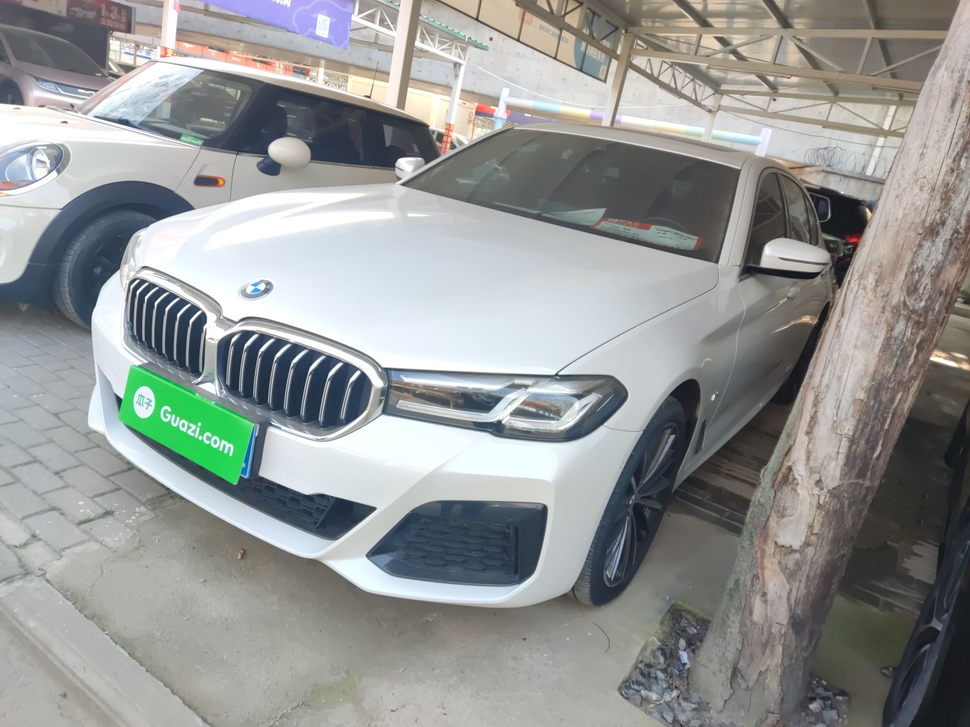 Parte inferior delantera