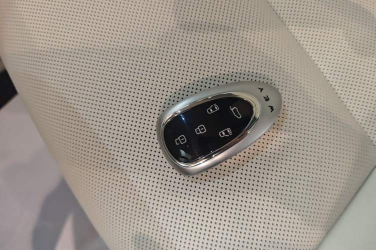 Used Wey Gaoshan 2025 Four-Wheel Drive Alpine 8
