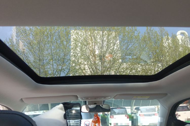 Used Leapmotor T03 2021 400 Luxury Edition Headliner