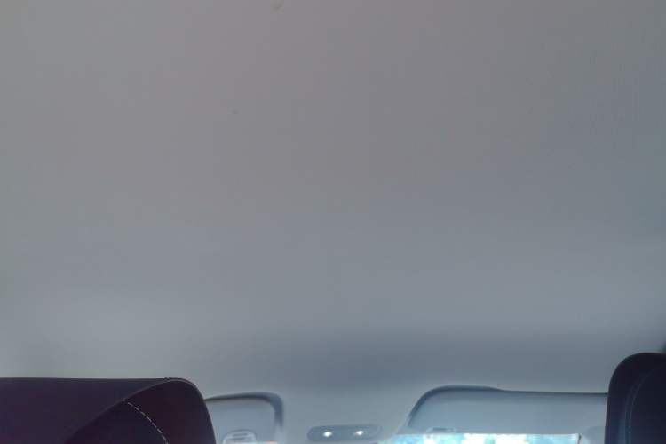 Used NETA V 2021 Standard Range Entertainment Edition