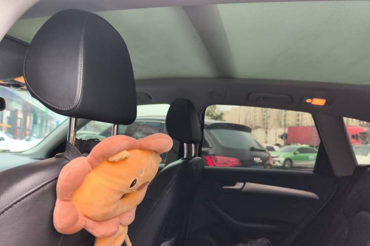 Used Audi Q5 2018 Collector's Edition 40 TFSI Technology Model