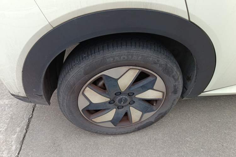 Used BYD Dolphin 2024 Honor Edition 420km Fashion Version
