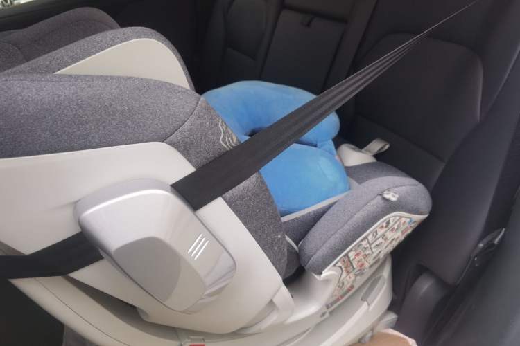 Used Tesla Model Y 2025 Rear-Wheel-Drive Version Left Rear Seat