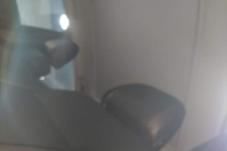 Used Chevrolet Malibu XL 2021 Redline 550T Automatic RuiLian Edition Headliner