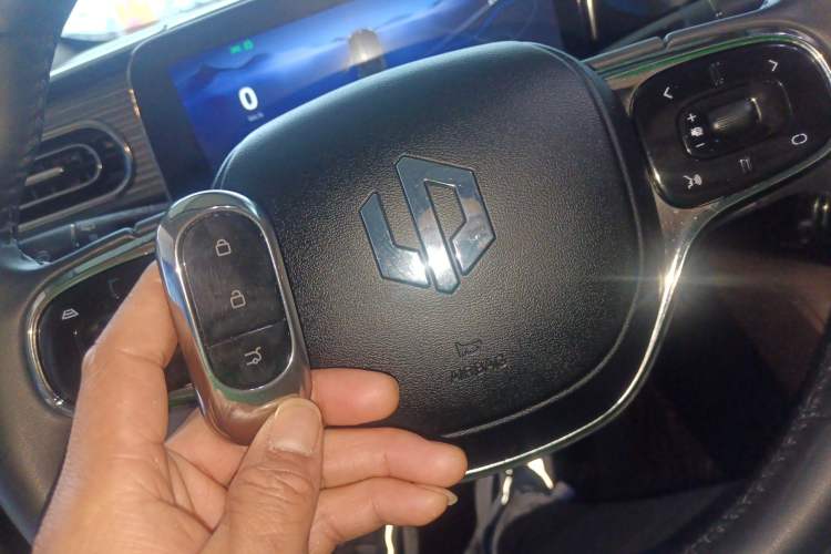 Used Leapmotor C11 2023 Pure Electric 500 Smart Edition