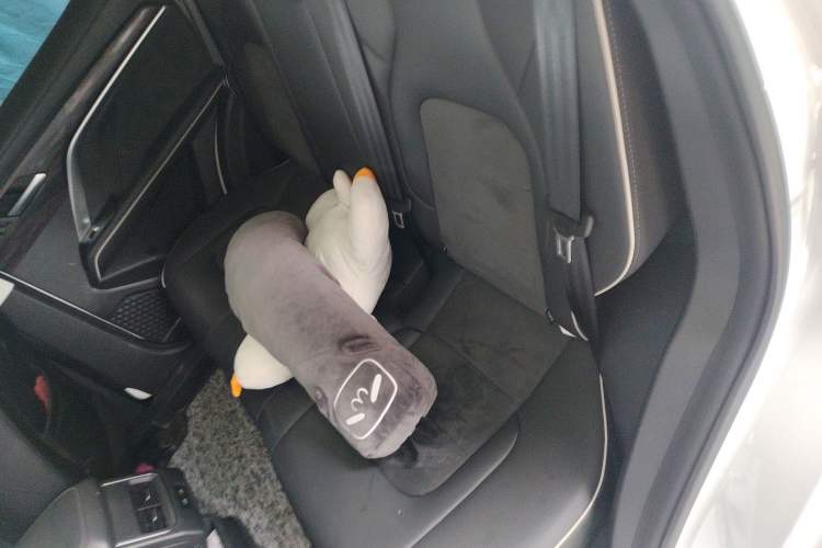 Used Haval H6 2023 National Trend Edition 1.5T Automatic Champion Version