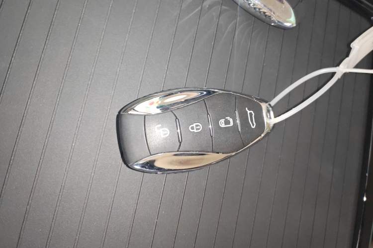 Used Hongqi HQ9 PHEV 2024 2.0T Four-Wheel Drive Business Edition
