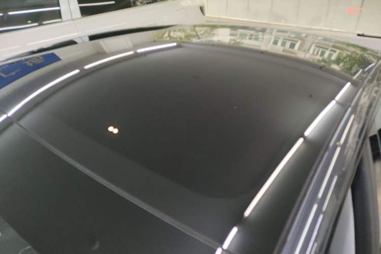 Used Tesla Model 3 2023 Rear-Wheel-Drive Version Roof