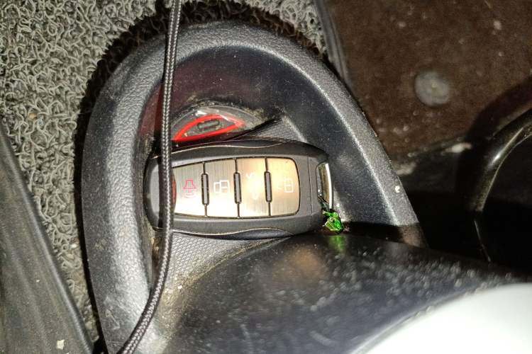 Used ORA Black Cat 2021 301 km Basic Version Vehicle Key