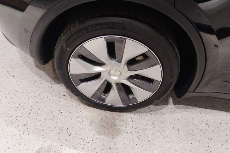 Used Tesla Model Y 2021 Standard Range Rear-Wheel Drive Version
