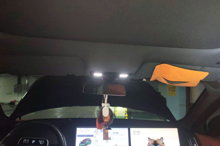 Used Li Auto L9 2022 Max model Headliner