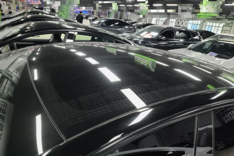 Used Tesla Model 3 2022 Rear-Wheel-Drive Version Roof