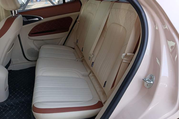 Used ORA Good Cat 2024 401 km Luxury Version