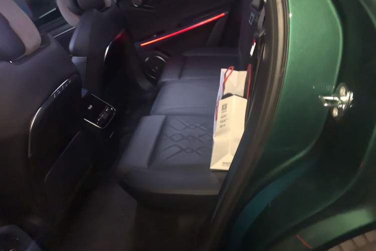 Used VOYAH FREE 2024 Ultra-Long Range Intelligent Driving Version Left Rear Seat