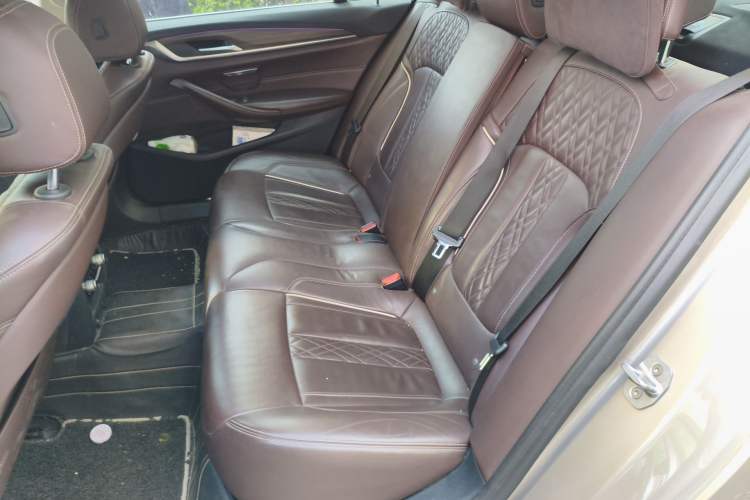 Used BMW 5 Series New Energy 2019 530Le Luxury Package
