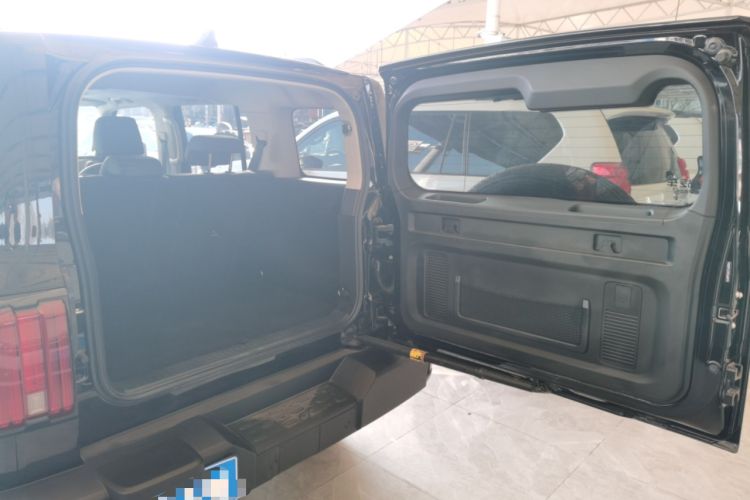 Used Tank 300 2024 2.0T Conqueror
