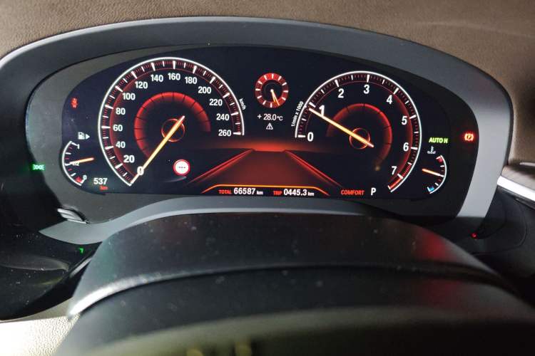 Used BMW 5 Series 2019 Facelifted 530Li Leading Edition Luxury Package Odometer Close Up