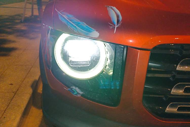 Used Haval DARGO 2021 2.0T DCT Two-Wheel Drive Chinese Mastiff Edition
