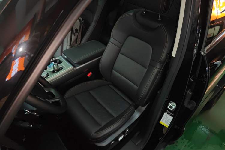 Used Haval DARGO 2024 2.0T DCT Chinese Rural Dog Edition
