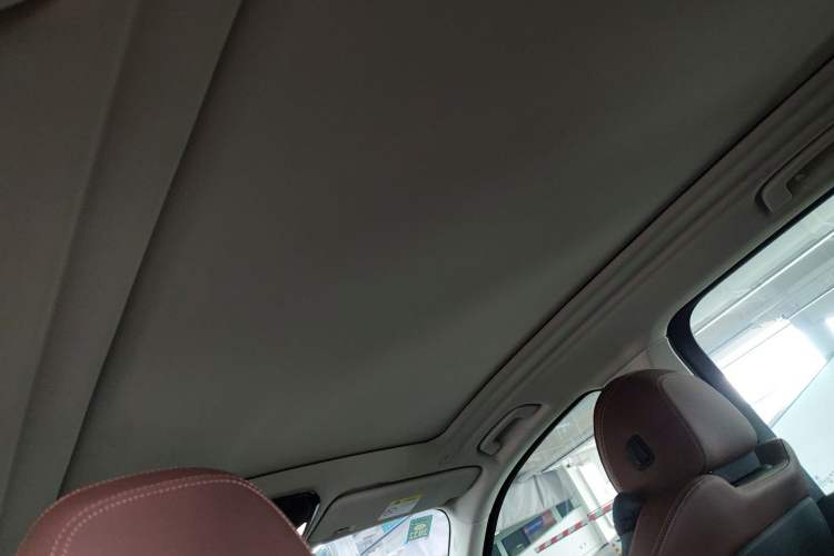 Used BMW X5 2019 xDrive30i X Design Package Headliner