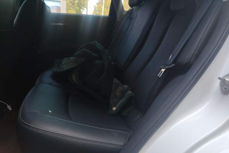 Used NETA V 2021 Long-Range Entertainment Edition Upgrade Model
